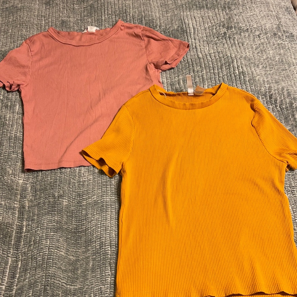 Divided Basic Crop Tops Set